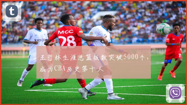 王哲林生涯总篮板数突破5000个，成为CBA历史第十人